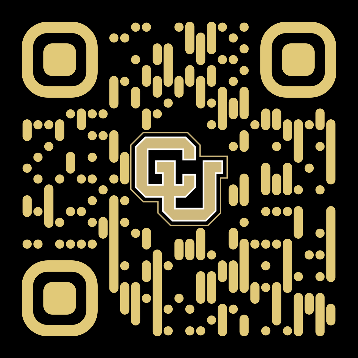 QR code for PRAISe Lab