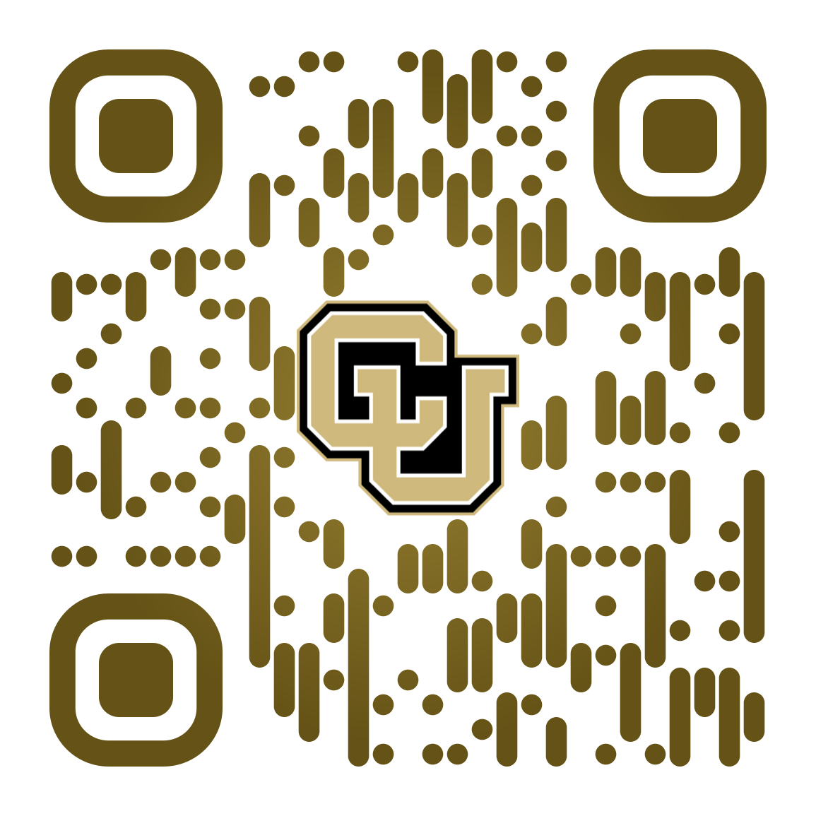 QR code for PRAISe Lab
